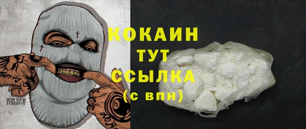 молекула духа Костерёво