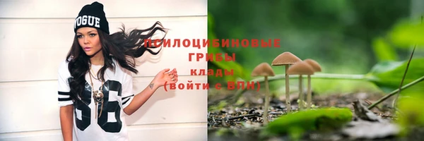прущие крисы Касимов