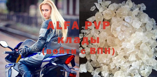 молекула духа Костерёво