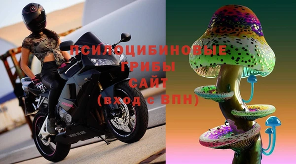 apvp Козловка