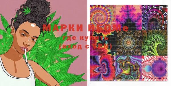 молекула духа Костерёво