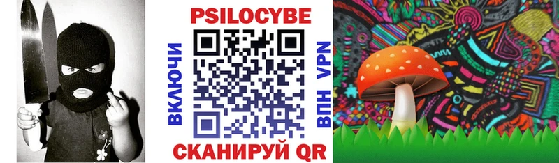 наркошоп  Нерчинск  Псилоцибиновые грибы GOLDEN TEACHER 