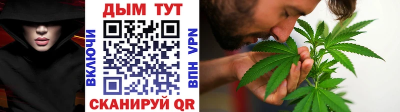 купить Нерчинск Бошки Шишки OG Kush